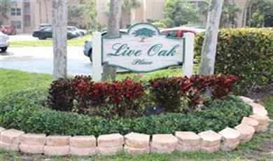 9441 Live Oak Pl # 101 , Davie Florida                                                                                              33324
